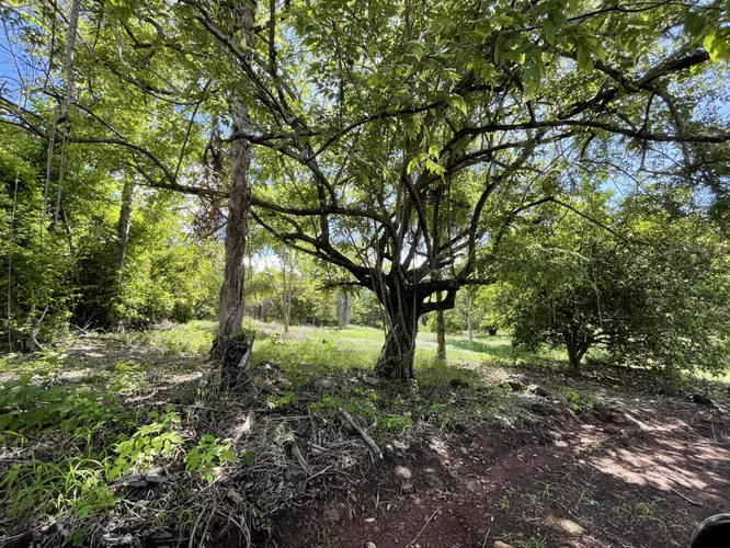 Lote con Vista al Mar Juanilama