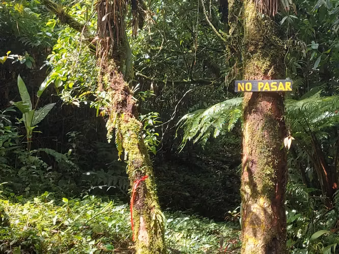 Finca Guacimo