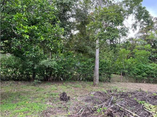 Terreno en venta en Orotina, Cebadilla, Coyolar. - Imagen 12