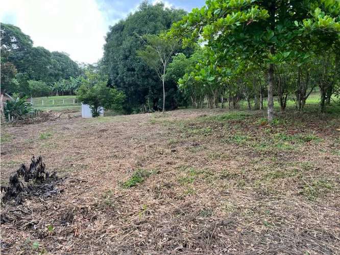 Terreno en venta en Orotina, Cebadilla, Coyolar. - Imagen 11
