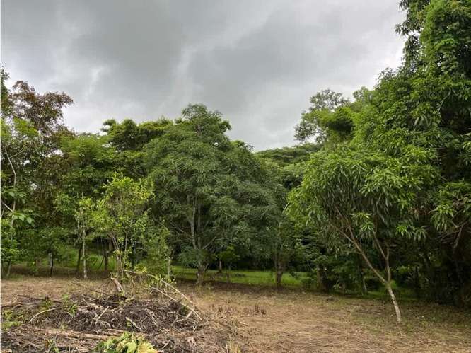 Terreno en venta en Orotina, Cebadilla, Coyolar. - Imagen 7