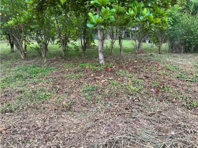 Terreno en venta en Orotina, Cebadilla, Coyolar. - Imagen 3