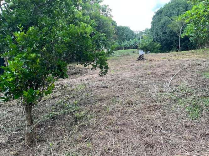 Terreno en venta en Orotina, Cebadilla, Coyolar. - Imagen 4