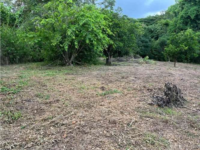 Terreno en venta en Orotina, Cebadilla, Coyolar. - Imagen 5