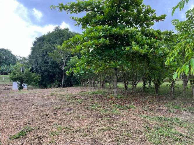 Terreno en venta en Orotina, Cebadilla, Coyolar. - Imagen 13
