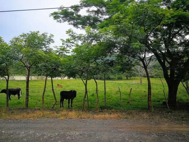 Lote en venta, La Guacima de Alajuela, Las Vueltas.