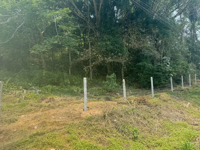 2 lotes juntos 16000 M2  3 kms centro de AtenasC con  DISP DE AGUA Y LUZ