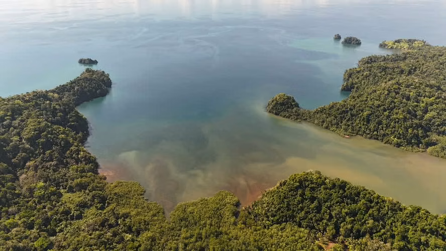 ¡Oportunidad! Venta de terreno en Puntarenas con gran biodiversidad.