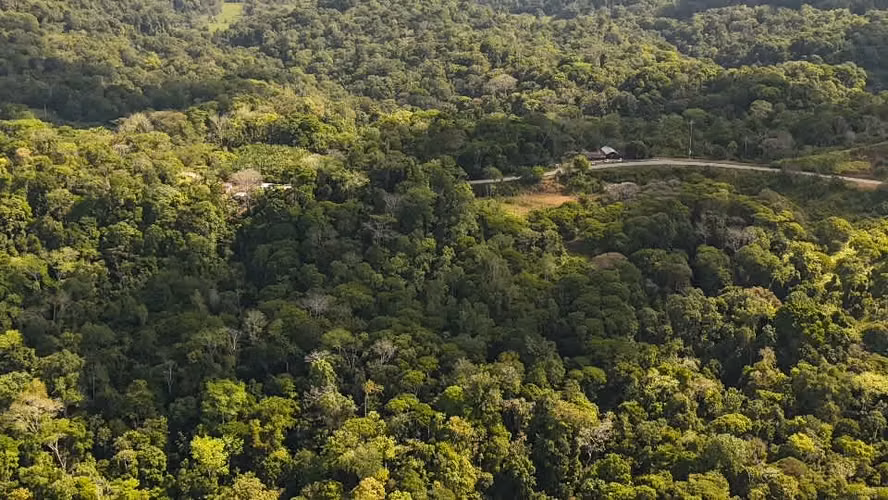 ¡Oportunidad! Venta de terreno en Puntarenas con gran biodiversidad.
