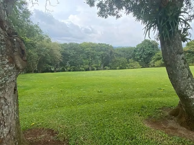 Se vende lote ideal para desarrollo en el Cacao de Alajuela /LDH-54 - Imagen 3