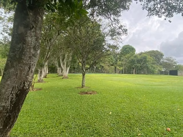 Se vende lote ideal para desarrollo en el Cacao de Alajuela /LDH-54 - Imagen 2