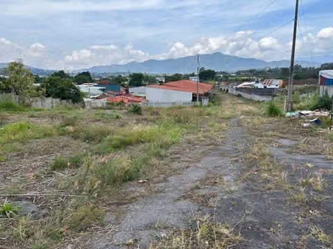 Se vende Terreno Plantel en Granadilla / LC-184 - Imagen 3