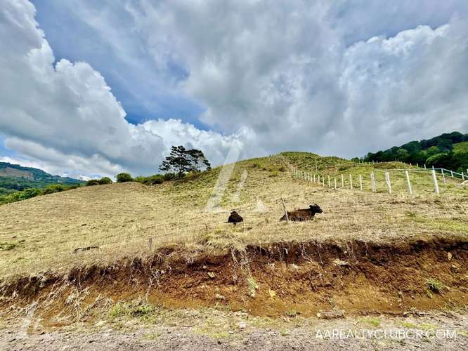 Quintas Exclusivas Copey de Dota - Vistas espectaculares! - Imagen 10