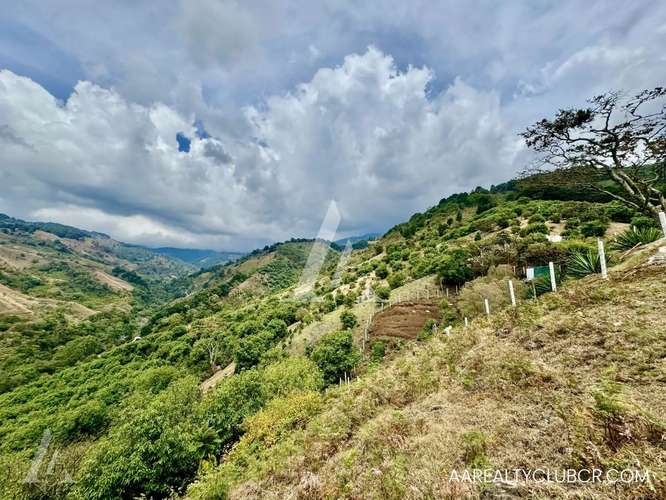 Quintas Exclusivas Copey de Dota - Vistas espectaculares! - Imagen 8