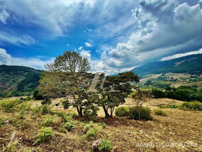 Lote en Dota - 5000 m² - ₡75,000,000