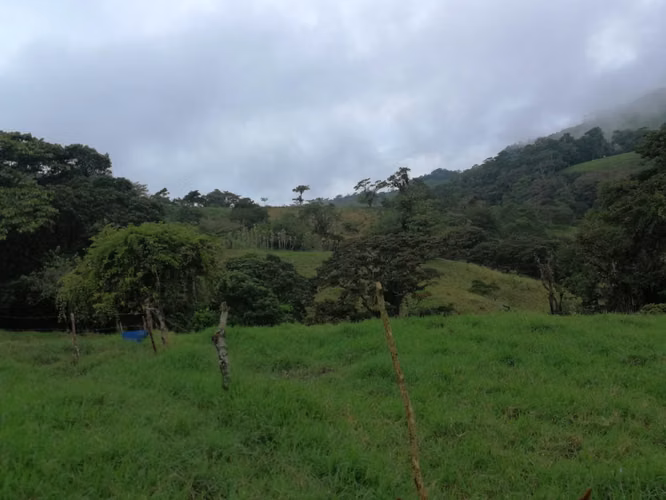 FINCA 7 HTS,  A 4 KMS DE ZARCERO CENTRO , 130 MILLS COL.