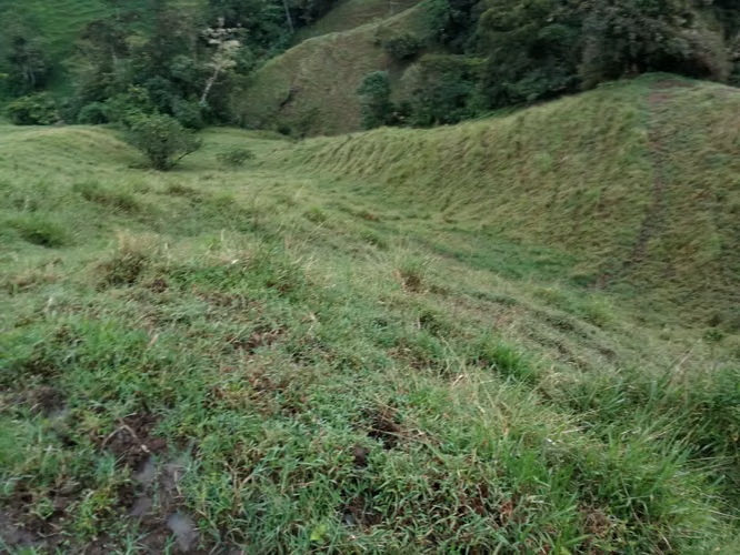 FINCA 7 HTS,  A 4 KMS DE ZARCERO CENTRO , 130 MILLS COL.