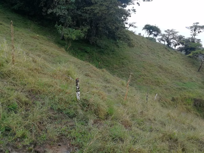 FINCA 7 HTS,  A 4 KMS DE ZARCERO CENTRO , 130 MILLS COL.