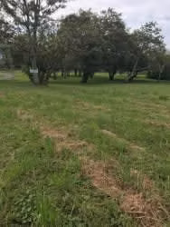 Alajuela, Hda los Reyes-OPORTUNIDAD Lote esquina etapa 1  - 87 millones de col. - Imagen 10