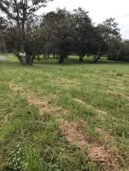 Alajuela, Hda los Reyes-OPORTUNIDAD Lote esquina etapa 1  - 87 millones de col. - Imagen 11