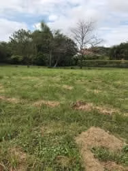 Alajuela, Hda los Reyes-OPORTUNIDAD Lote esquina etapa 1  - 87 millones de col. - Imagen 2
