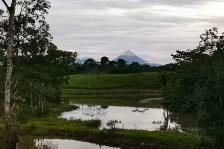 LOTE EN VENTA, ALAJUELA, SAN CARLOS, VISTA AL VOLCAN - Imagen 15