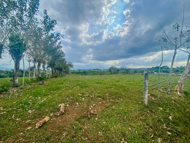 LOTE EN VENTA, ALAJUELA, SAN CARLOS, VISTA AL VOLCAN - Imagen 8
