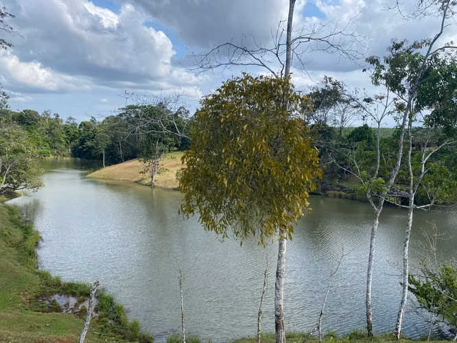 LOTE EN VENTA, ALAJUELA, SAN CARLOS, VISTA AL VOLCAN - Imagen 2