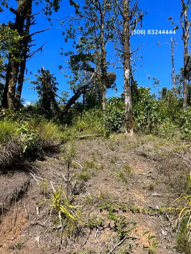 VENDO LOTE EN CARTAGO, QUEBRADILLA