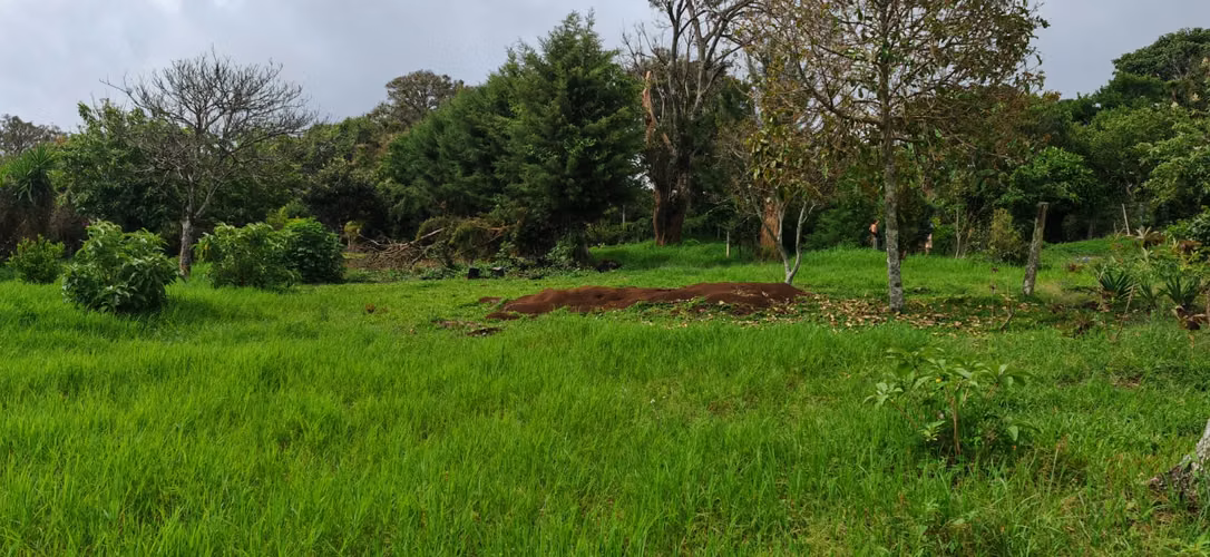 SE VENDE QUINTA EN LOS TURALES LOS ANGELES DE SAN RAFAEL DE HEREDIA - Imagen 5