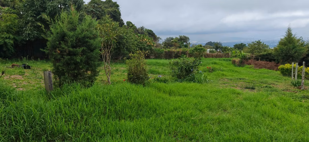 SE VENDE QUINTA EN LOS TURALES LOS ANGELES DE SAN RAFAEL DE HEREDIA - Imagen 4