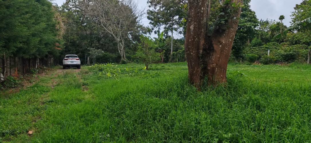 SE VENDE QUINTA EN LOS TURALES LOS ANGELES DE SAN RAFAEL DE HEREDIA - Imagen 3