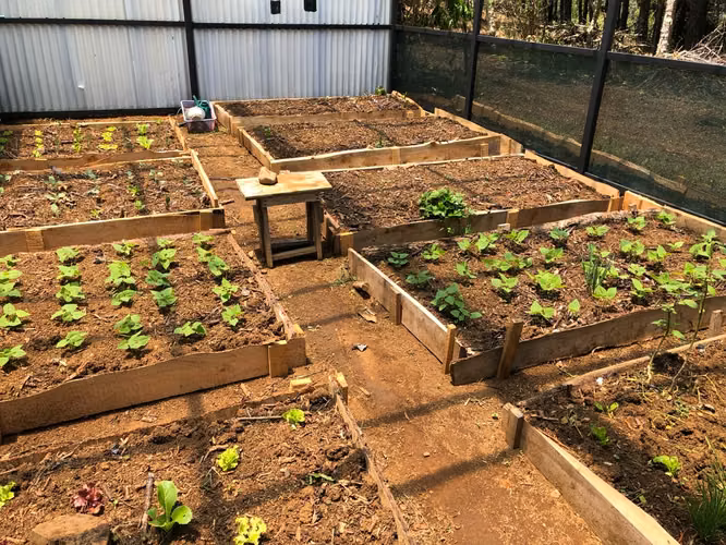 Venta de finca en la Zona de los Santos - Imagen 5
