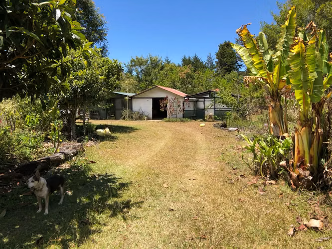 Venta de finca en la Zona de los Santos - Imagen 18