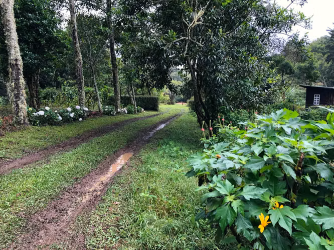 Venta de finca en la Zona de los Santos - Imagen 17