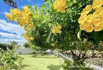 Santa Ana - Casa Amplia y Lote - Precio Reducido - Magnífica Oportunidad - Imagen 13