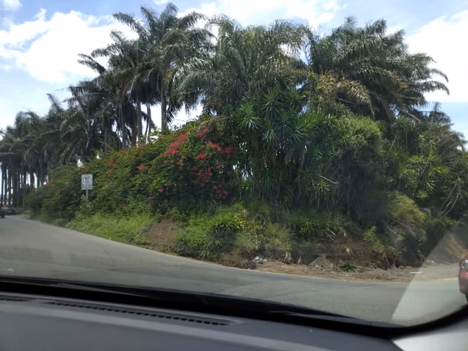 INVERSIONISTAS/ Santo Domingo Heredia, venta propiedad comercial esquinera - Imagen 7