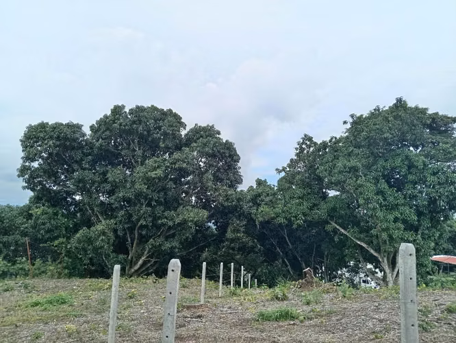 Atenas, Alajuela  lote 620 m2 negociable - Imagen 2