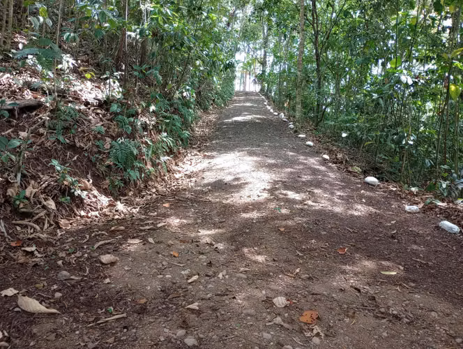 Finca en venta en San Carlos, cerca de La Fortuna, con Lago y Senderos - Imagen 3