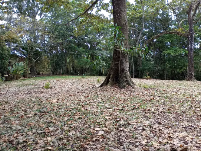 Finca en venta en San Carlos, cerca de La Fortuna, con Lago y Senderos - Imagen 4