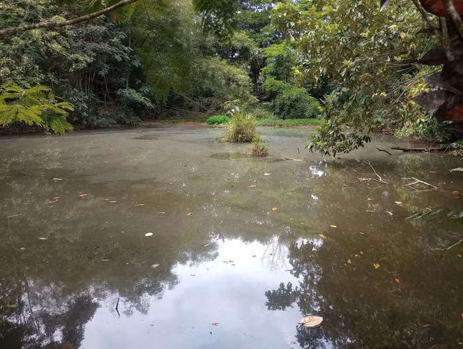 Finca en venta en San Carlos, cerca de La Fortuna, con Lago y Senderos - Imagen 2
