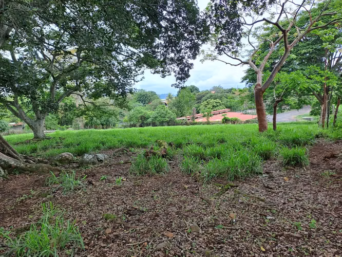AMPLIO LOTE EN VENTA EN SANTA EULALIA DE ATENAS - Imagen 7