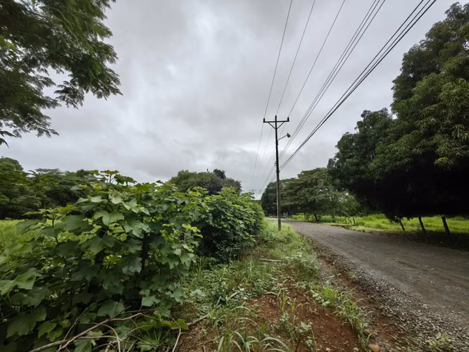 Venta de terrero en La Ceiba, Orotina con 50 m de frente - Imagen 7
