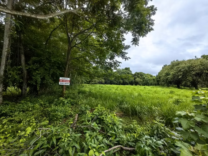 Venta de terrero en La Ceiba, Orotina con 50 m de frente - Imagen 8