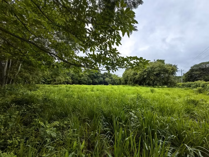 Venta de terrero en La Ceiba, Orotina con 50 m de frente - Imagen 15