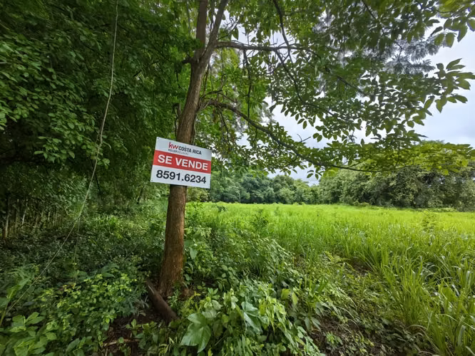 Venta de terrero en La Ceiba, Orotina con 50 m de frente - Imagen 18