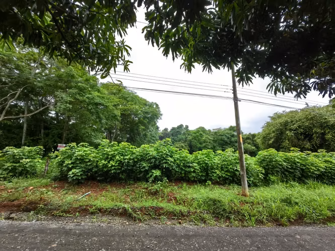 Venta de terrero en La Ceiba, Orotina con 50 m de frente - Imagen 4