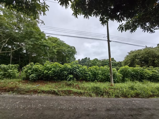 Venta de terrero en La Ceiba, Orotina con 50 m de frente - Imagen 5