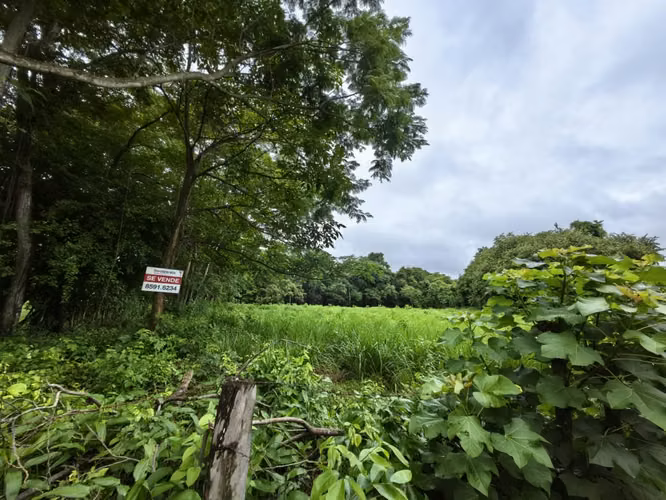 Venta de terrero en La Ceiba, Orotina con 50 m de frente - Imagen 11