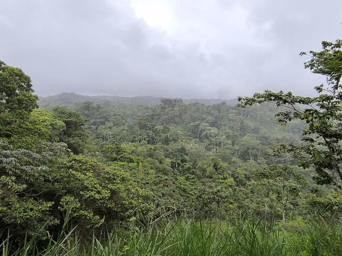 Finca en venta en La Fortuna, vistas al Volcán y al Lago - Imagen 11